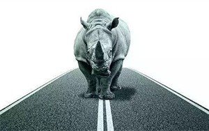 臣通觀點(diǎn)丨小心，中國產(chǎn)業(yè)園區(qū)的“灰犀?！庇謥砹?！