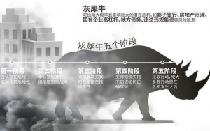 小心，中國產(chǎn)業(yè)園區(qū)的“灰犀牛”又來了！